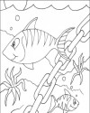 Balık Hayvanlar Deniz Canlıları Boyama (65)