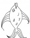 Balık Hayvanlar Deniz Canlıları Boyama (66)