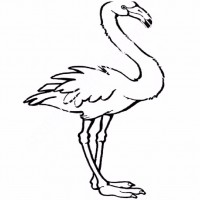 çocuklar-için-hayvan-hayvan-Flamingo-boyama-sayfası-3