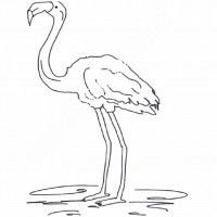 çocuklar-için-hayvan-hayvan-Flamingo-boyama-sayfası-5