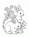 hase021