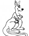Kanguru Hayvanlar Boyama  (10)