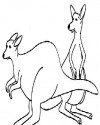Kanguru Hayvanlar Boyama  (11)