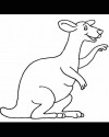 Kanguru Hayvanlar Boyama  (12)
