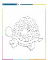 Kaplumbağa Hayvanlar Boyama (1147)