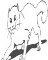 Kedi Hayvanlar Boyama (57)