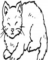 Kedi Hayvanlar Boyama (79)