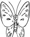 Kelebek Hayvanlar Boyama (29)