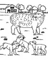 Koyunlar Hayvanlar Boyama  (11)