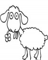 Koyunlar Hayvanlar Boyama  (16)