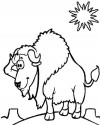 Koyunlar Hayvanlar Boyama  (20)