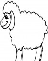 Koyunlar Hayvanlar Boyama  (3)