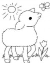 Koyunlar Hayvanlar Boyama  (4)