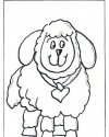 Koyunlar Hayvanlar Boyama  (5)