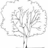 plane-tree-coloring-page-source_ywn (1)