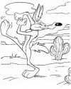 Road Runner Boyama (2)