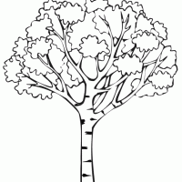 tree-coloring-page-printable-507