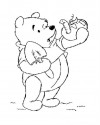 Winnie the Pooh Boyama (86)