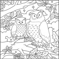 wonderful_owls_color_pages