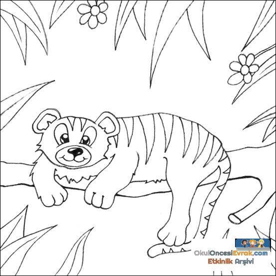 tiger