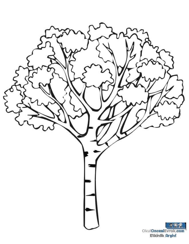 tree-coloring-page-printable-507