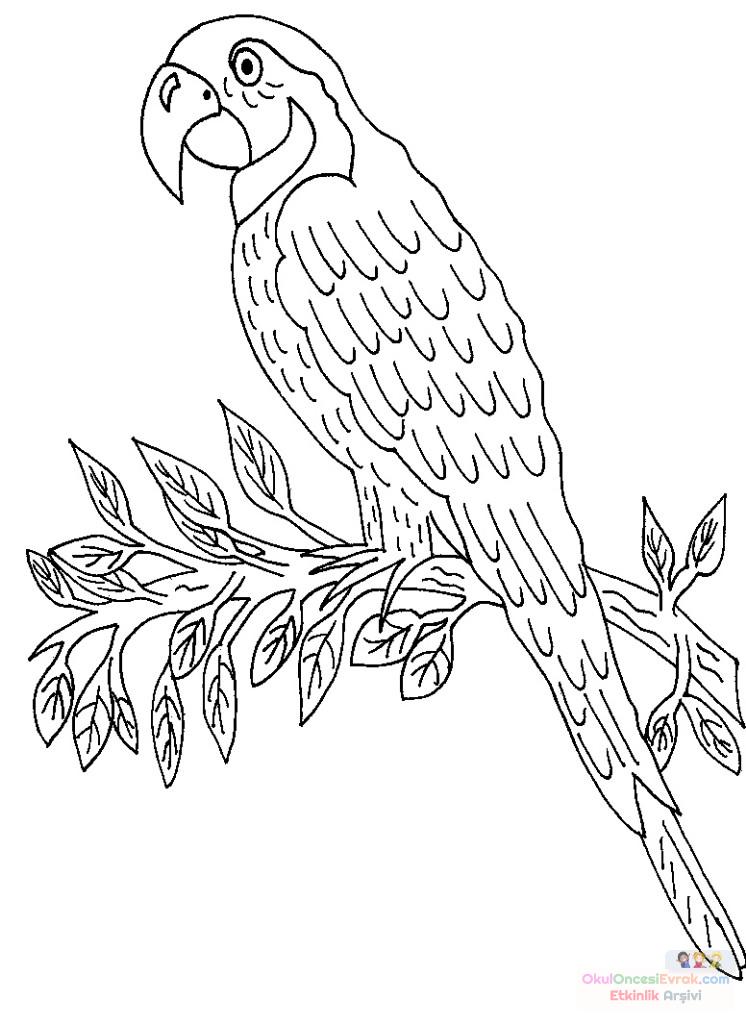 vogel010