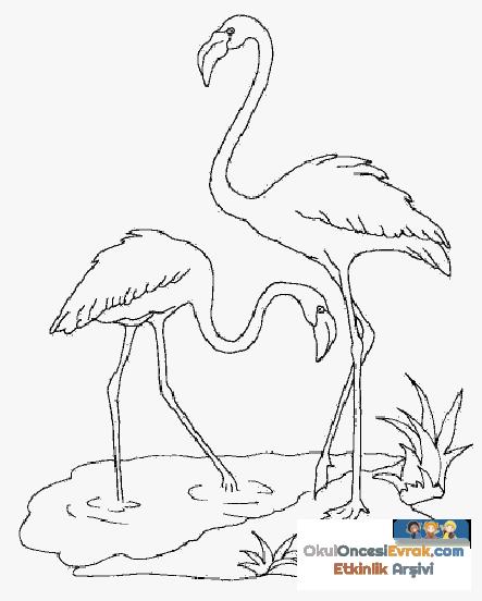 vogel014
