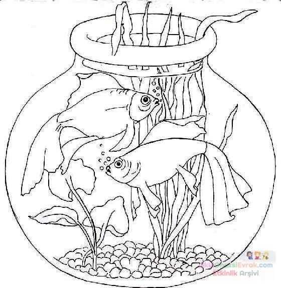wassertier002