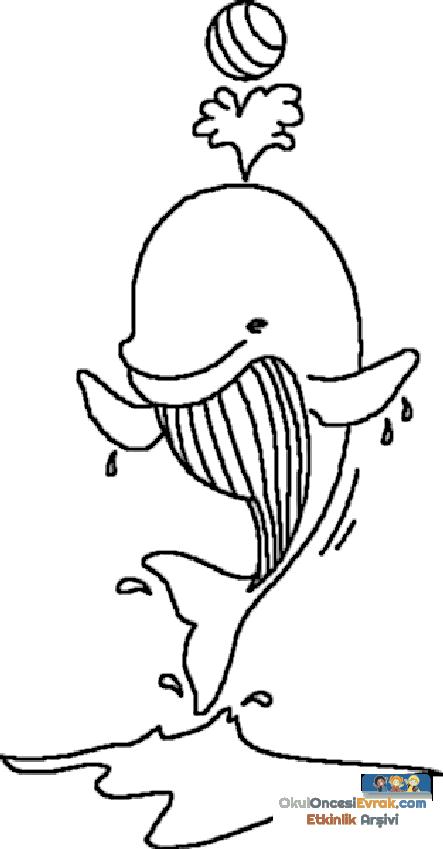 wassertier011