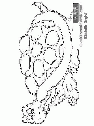 wassertier024