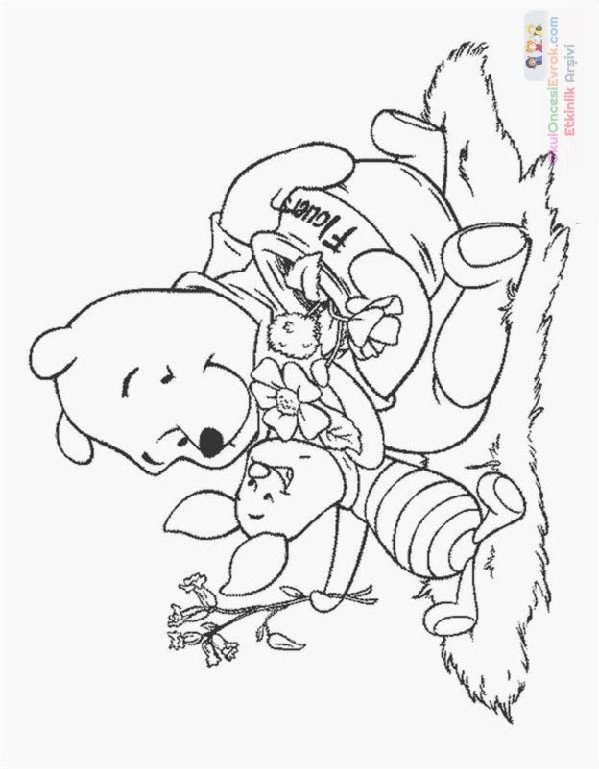 Winnie the Pooh Boyama (20)