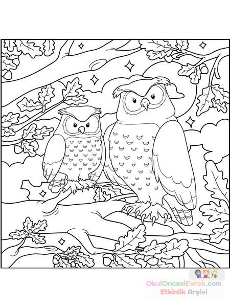 wonderful_owls_color_pages
