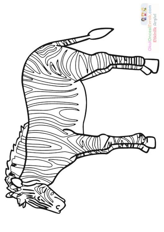 zebra_boyama