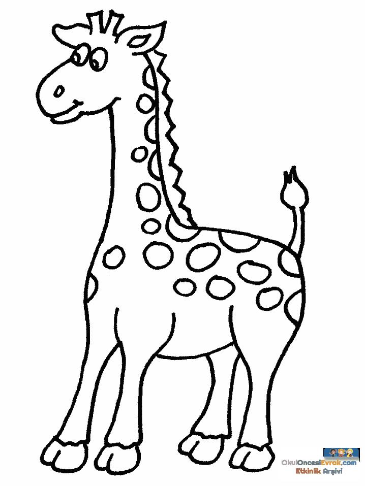 zurafa