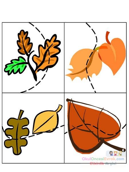 makasla_kesme_için_yapraklar