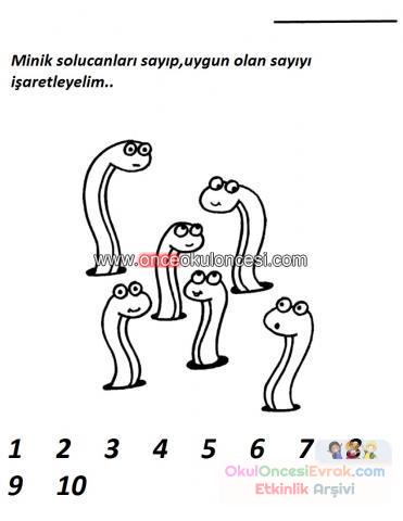 sayı çalişması