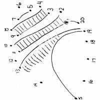 çocuklar-için-noktaları-birleştir-resmi-tamamla-boyama-sayfaları-43