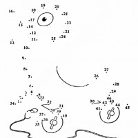 çocuklar-için-noktaları-birleştir-resmi-tamamla-boyama-sayfaları-84