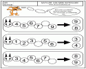 çocuklara-sayılara-sayıları-öğretmek-5