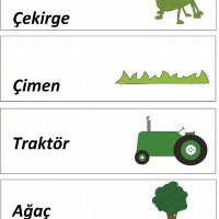  okul öncesinde kavramlar (158)