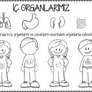 okul öncesinde kavramlar  (21)