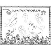 okul öncesinde kavramlar  (39)
