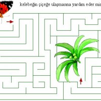 okul öncesınde kavramlar sayı çalışması çizgi çalişması geometrik çalışmalar (203)