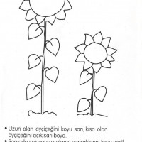 okul öncesınde kavramlar sayı çalışması çizgi çalişması geometrik çalışmalar (255)