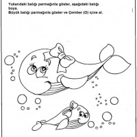 sayı kavramı,kare,sıcak  -soğuk ,sağlıklı  faydaları,yeni eski  (185)