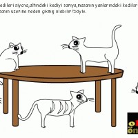 sayı kavramı,kare,sıcak  -soğuk ,sağlıklı  faydaları,yeni eski  (19)