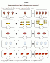 matematik  çalişması