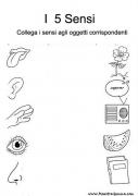duyu organları  (7)