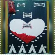 kızılay haftası (3)