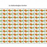 okul öncesinde kavramlar (405)